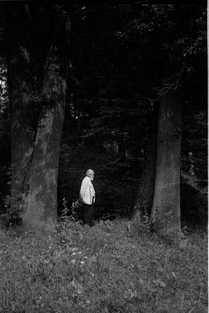 František Bílek v lese   František Bílek,Chýnov