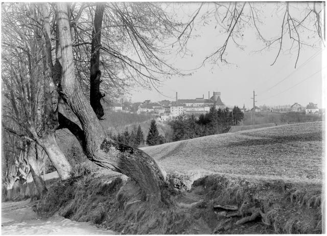 Pohled na hrad Kotnov od Klokot. Začátek 20. století   Kotnov,Klokoty,svatý Antonín,Tábor,celek