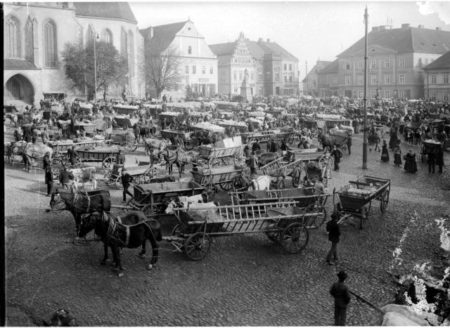 Trh s klokotským zelím na Žižkově náměstí okolo 1900   Tábor,náměstí,Klokotské zelí,kůň,kráva,povoz