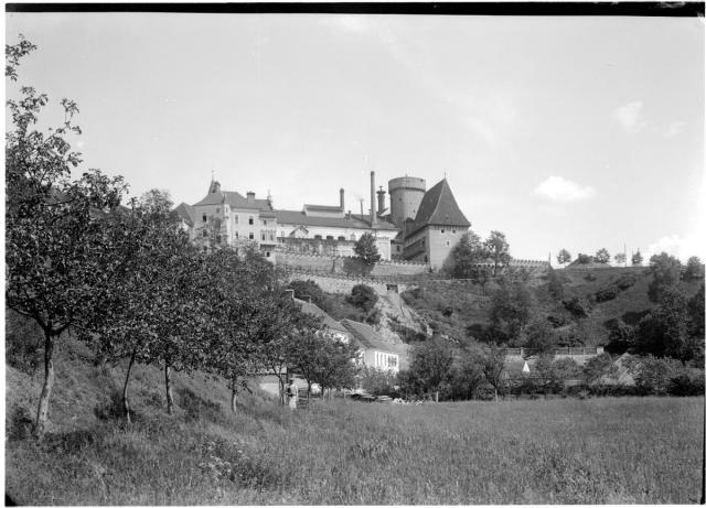 Pohled na hrad Kotnov z Tismenického údolí   Kotnov,hrad,Tábor