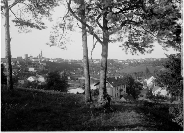 Celk. pohled od Čelkovic - mezi stromy   Tábor,Lužnice,Čelkovice,celkový pohled,lázně