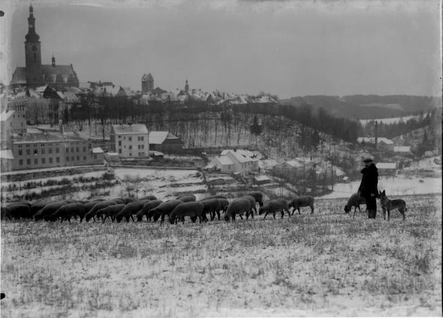 Pohled na Tábor z Bezručovy ulice  Ovčák. Digitální reprodukce ze skleněného negativu 13 × 18 cm, kolem roku 1920. ... Tábor,celek,ovce