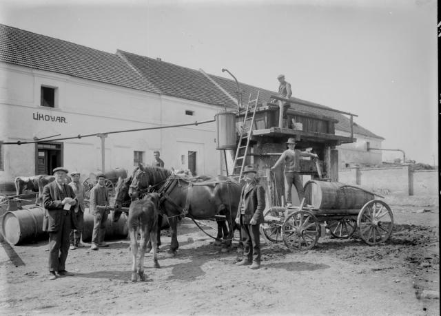 Lihovar Vejrec 1928, skupina s vozem   lihovar,Vejrec,průmysl,skupina,kůň
