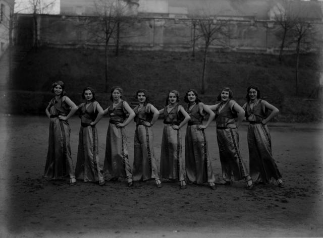 Šibřinky táborské sokolovně 1933   slavnost,sokol,sokolovna,skupina,ženy