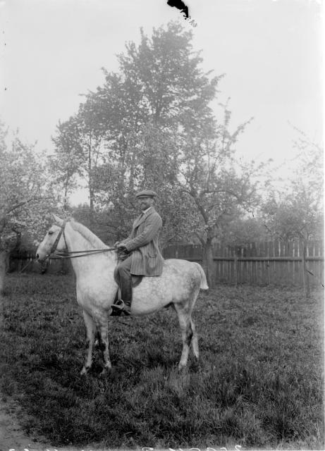 Ternských   portrét,jezdec,kůň