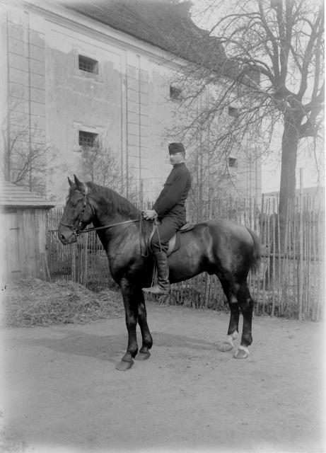 Jezdec r. 1913   portrét,jezdec,kůň