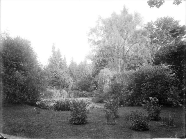Zámek Chotoviny,park  I tato fotografie se nachází v rodinném archivu rodiny Nádherných. Petr Fiedor Chotoviny,zámek,park