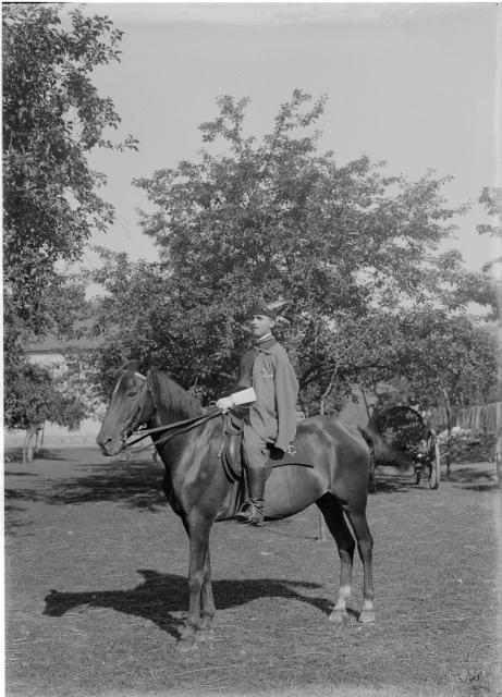 Sokol na koni  pelhřimovská sokolská jízda, byla ustavena v roce 1886 při obnově Sokola, po V.s... Pelhřimov,sokol,kůň,postava