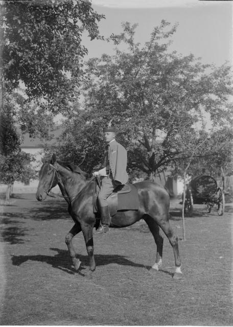Sokol na koni  pelhřimovská sokolská jízda, byla ustavena v roce 1886 při obnově Sokola, po V.s... Pelhřimov,sokol,kůň,postava