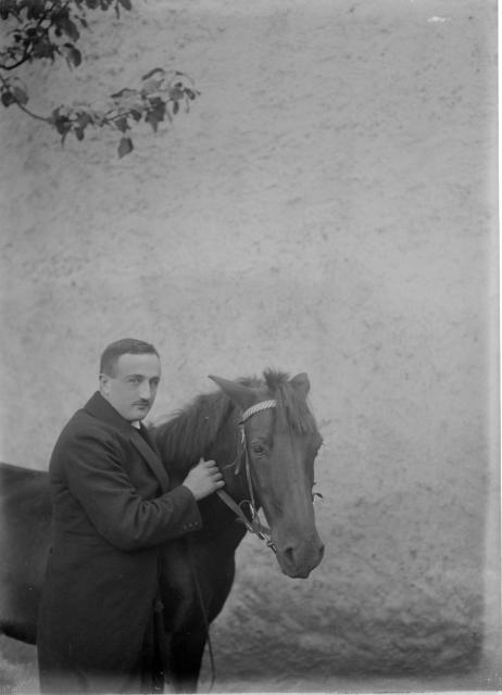 Bauer s koněm   kůň,Bauer