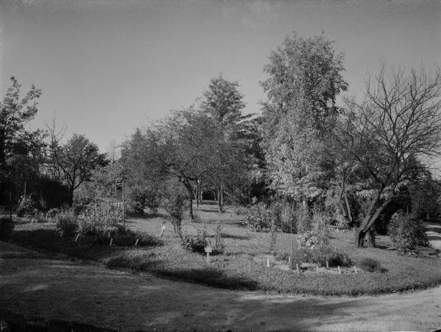 Zemědělská vyšší hospodářská škola, botanická zahrada, založena 1866   zemědělská škola
