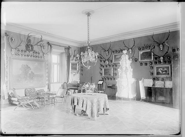 Interier s kamny a parohy  Na víku: Princ Rohan r. 1902 na Choustníku interier,zánek,Choustník,Rohan