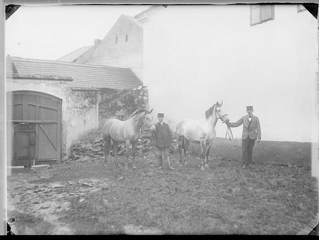 Výstava Sedlčanská  a víku: Výstava Sedlčanská 1898 výstava, Sedlčany,kůň
