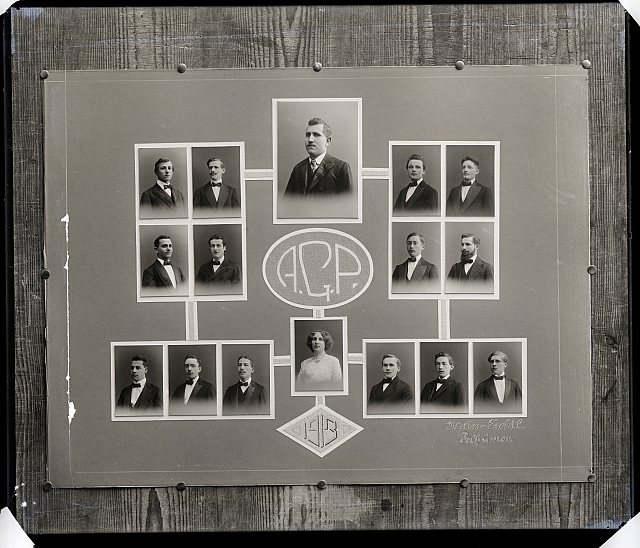 A.G.P. - 15 poprsí, 1913, (logo)  Na krabičce:  572 v kroužku, 85 Tabla 1910-1918, skupina švestů (škrtnuto) 11ks ... tablo