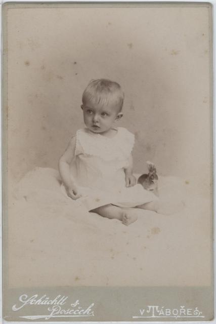 Lidmila Tichá - Hrdličková, 1896 pani Alena TichýLukšičková  portrét,
