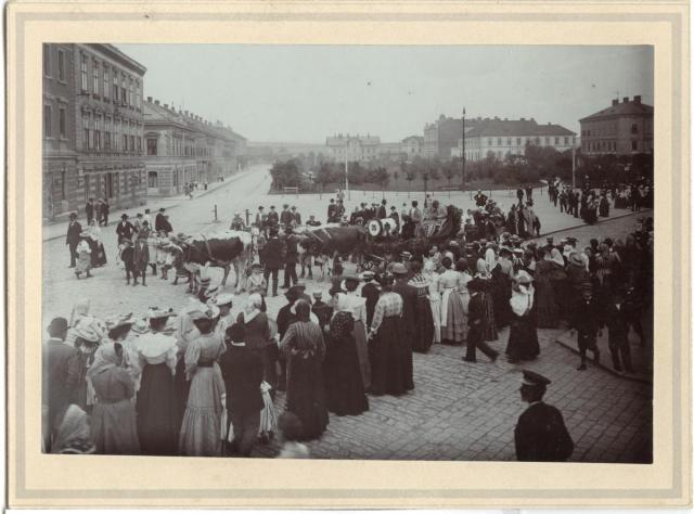 Před nádražím 12.8.1905   Tábor,slavnost, Husovo náměstí,kráva