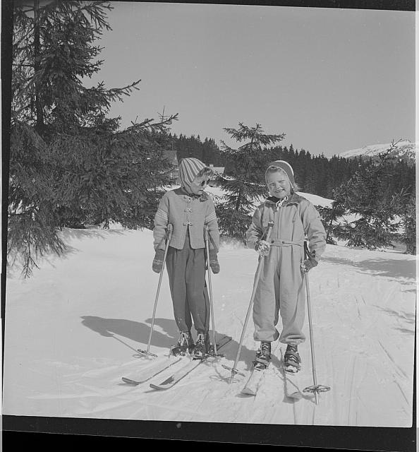 lyžaři   Šumava