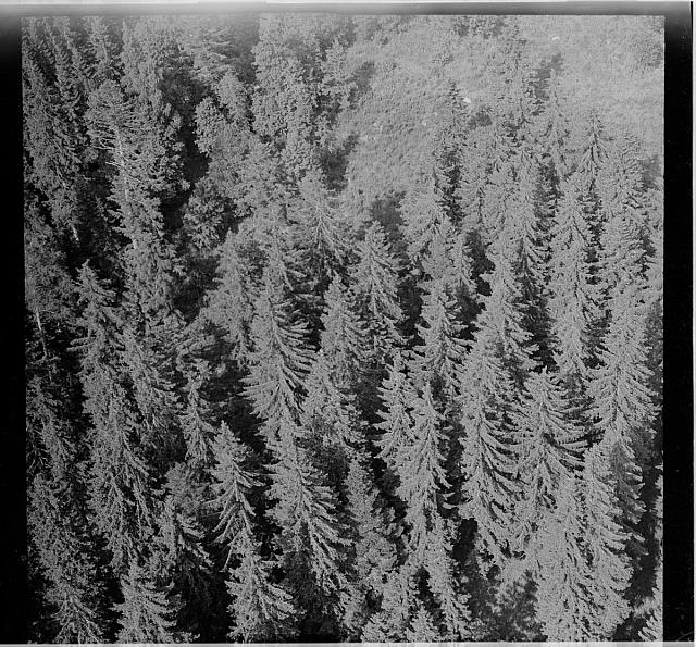 les  Na obálce: Orlík-Zvíkov 0 letecký snímek
