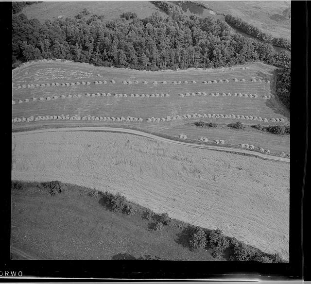 helikoptéra  Na obálce: 9 Pole u lesa Pole s farmou pole s dvěma stromy pole s divným poroste... letecký snímek