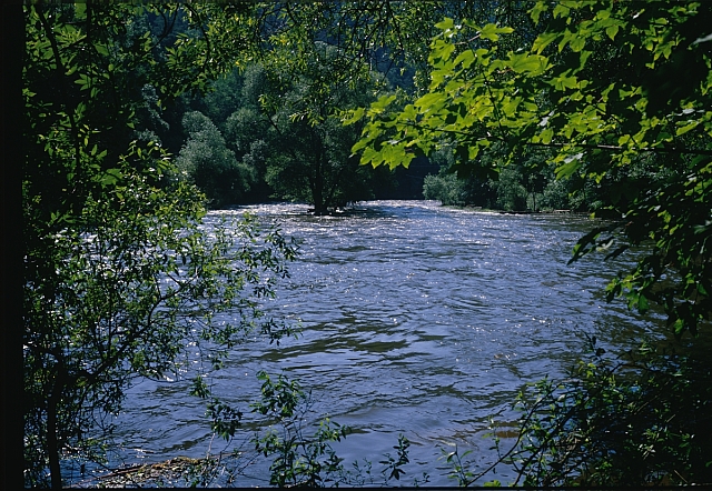 Řeka   krajina