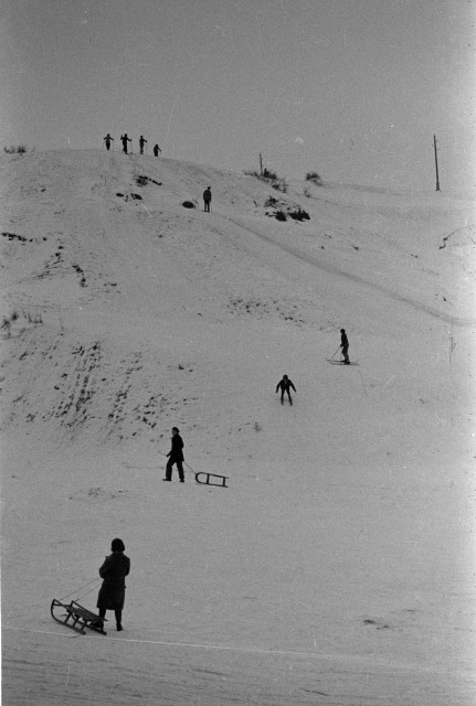 Zimní sporty ve Struhách   Tábor,Struhy,lyžař,sáně,sport