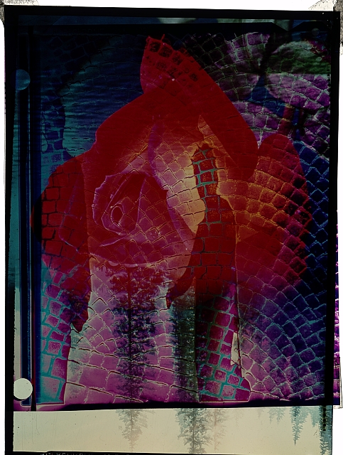 Růže pro Lidice, původní sendvič   fotomontáž