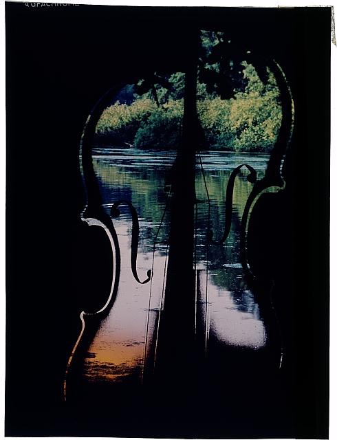 hudba, housle   hudba,fotomontáž