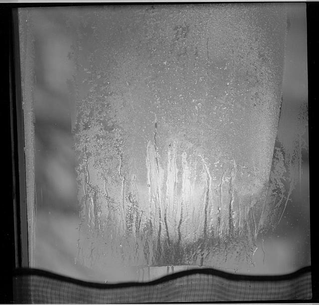 Variace na mráz  Na obálce: Zamrzlé okno, Variace na mráz okno,led,krystal