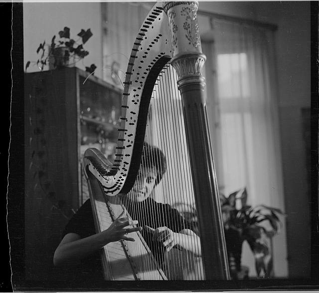 Táborská harfa