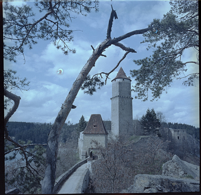 Zvíkov   hrad
