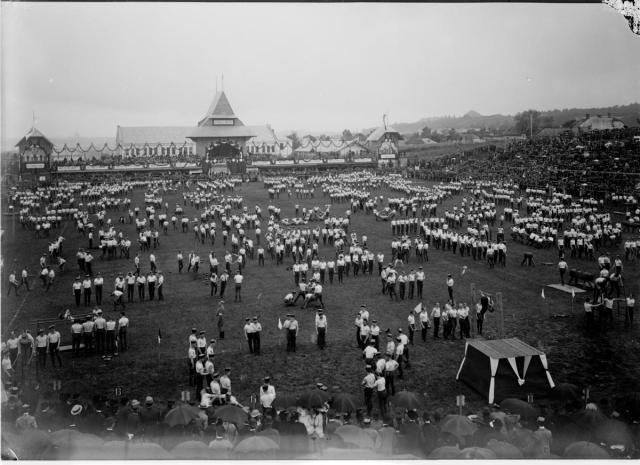 Sokol Exercises in Lvov, Poland, now Ukraine, 1903  sokol, Lvov