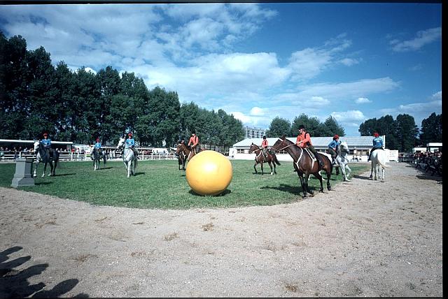 polo (in Czech), keywords: horse  horse