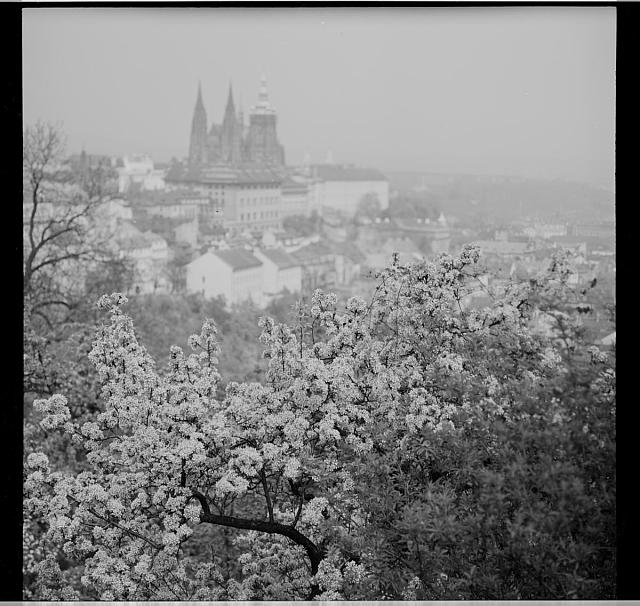 Hradčany, jaro (in Czech), keywords: Prague  Prague