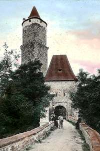 Zvíkov castle