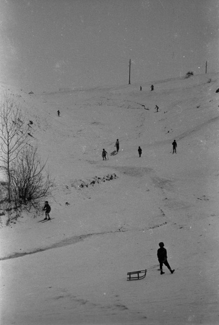 Zimní sporty ve Struhách   Tábor,Struhy,lyžař,sáně,sport