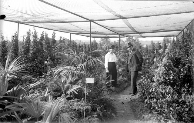 Výstava okrasných rostlin, 1920   botanická zahrada,výstava,Tábor,škola