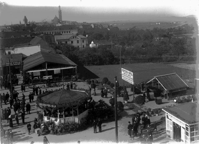 Ovocnická výstava 1920 v botanické zahradě   výstava,Hospodářská škola,Tábor,Ulice 9. května