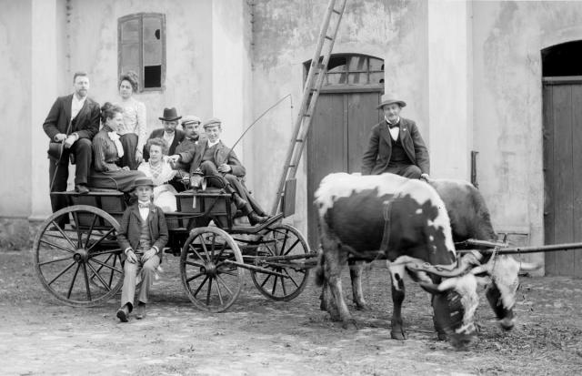 České kvarteto -- O. Nedbal, J. Suk, K. Hoffmann u Setunských, 1898   Tábor,skupina, Oskar Nedbal,Josef Suk,K. Hoffmann ,kráva