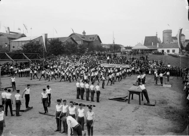 Cvičení sokolů na Krajinské výstavě 1902   Tábor,sokol,krajinská výstava