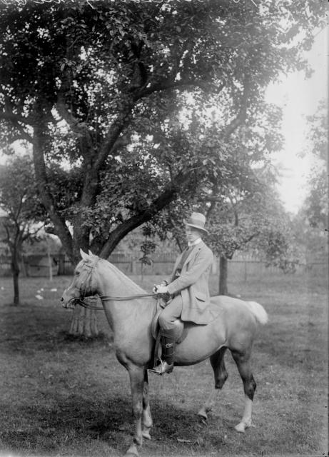 Jezdec r. 1913   portrét,jezdec,kůň