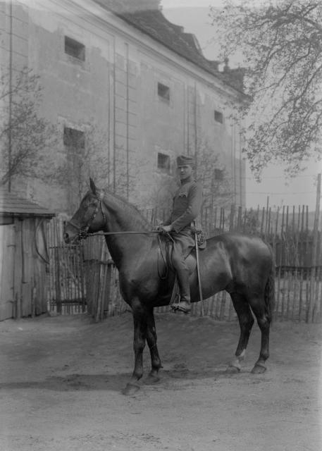 Pšelerák  fotografie hřebčáků tzv. " pšeleráků", což byli zaměstnanci státních hřebčinců, ... kůň