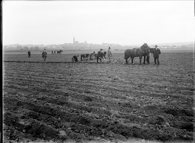 Sázení brambor, 20. léta 20. století