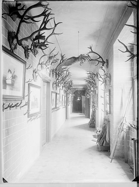 Chodba s parohy a orlem na Choustníku  Na víku: Princ Rohan r. 1902 na Choustníku interier,zánek,Choustník,Rohan