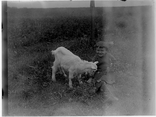holčička s kozou  dar od pana Poustky který je zachránil před vyvezením na skládku při vyklízení g... dítě,koza