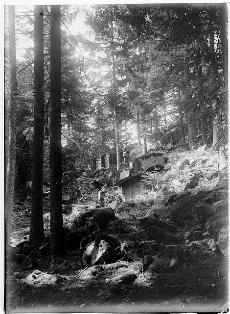 Křemešník les  na obálce Křemešník1901 sign 386 inv č74  	x skupina,turista