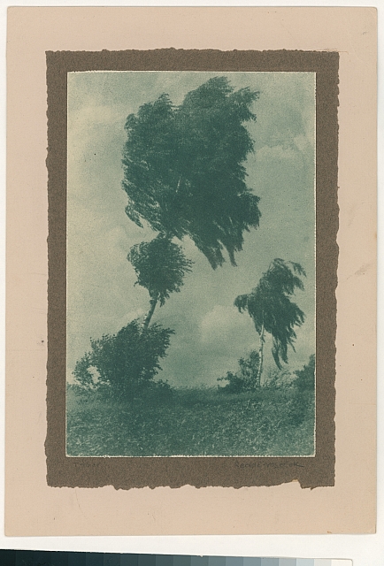 Stromy ve větru  Na zadní straně: Jos. Šechtl st. Bromolej strom