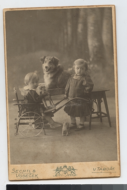 kabintka, děti, pes a kočárek   portrét,hračka