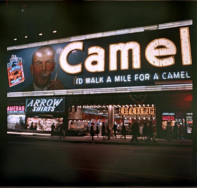 New York camel, arrlow shirts  New York