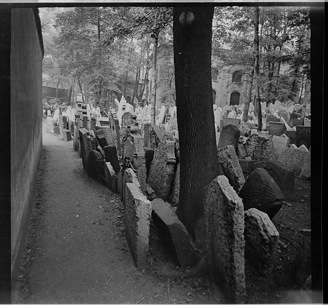 Židovský hřbitov  na obálce hřbitovy Židovský,Malostranský Praha