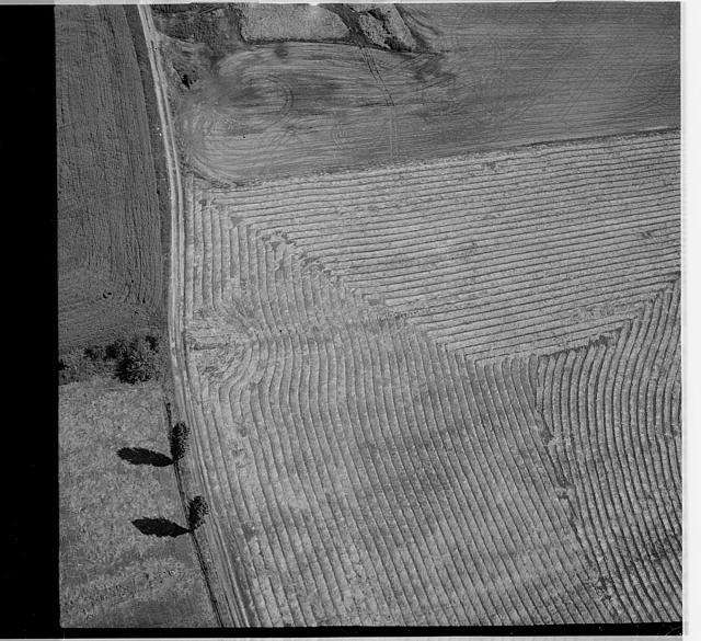 helikoptéra  Na obálce: 9 Pole u lesa Pole s farmou pole s dvěma stromy pole s divným poroste... letecký snímek